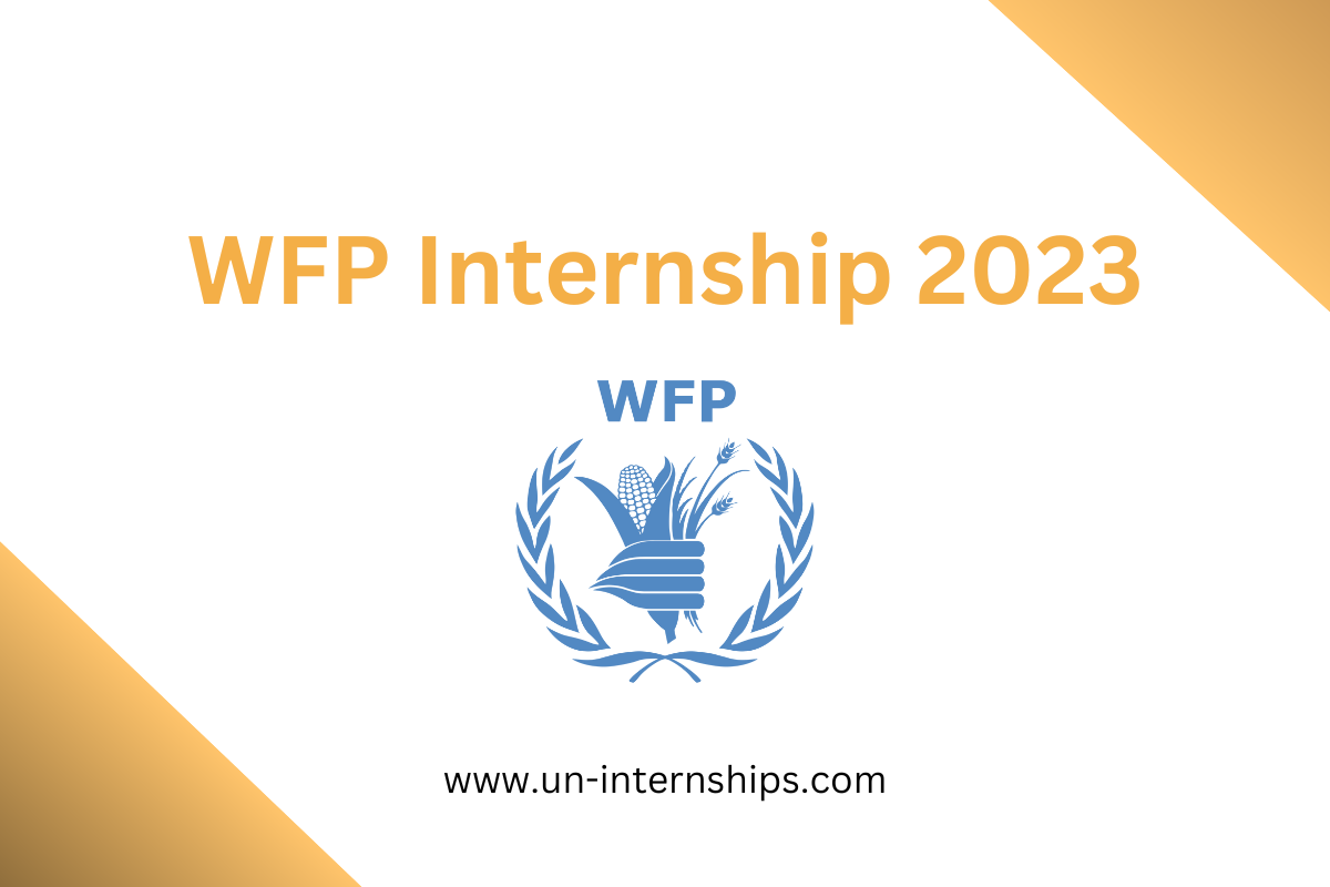 WFP Internship 2023