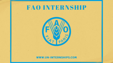 UN FAO Internship