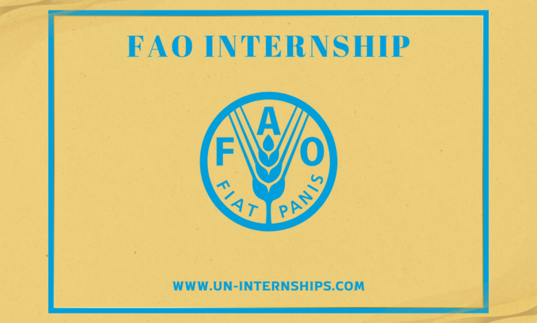 UN FAO Internship
