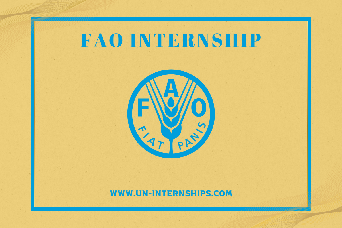 UN FAO Internship